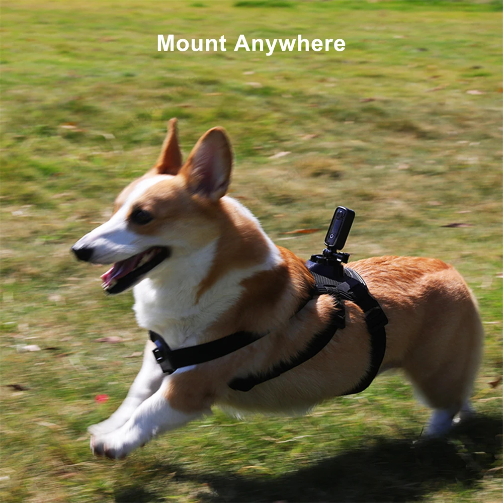 SJCAM C100 Plus Action Camera 4K 30M à prova d'água 2.4G WiFi Action Sport action cam EIS capacete de bicicleta motocicletas - Imagem 3