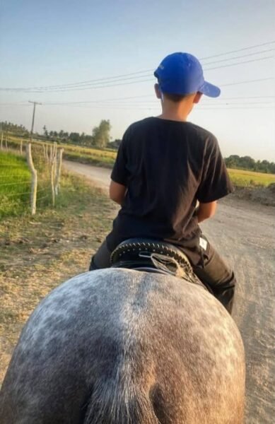 Potro quarto de milha grande e forte